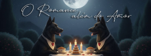O Romance além do Amor